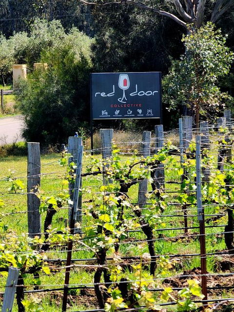 Red Door Collective - RDC Vineyard Estate, Luxury Adult Only Stay - Hervey Bay Accommodation 1