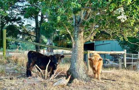 Private, Secluded Farm Retreat - Tourism Hervey Bay 3