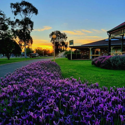 Quality Inn Carriage House - Hervey Bay Accommodation 1