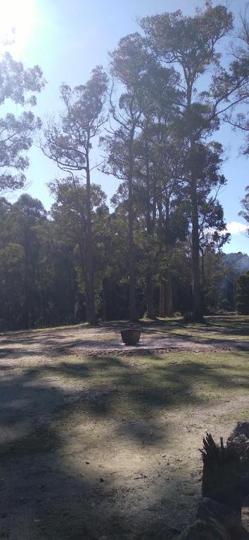 Rail Trail Retreat - Hervey Bay Accommodation 2