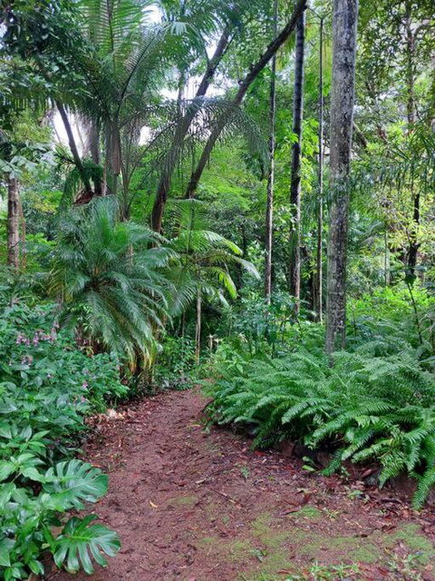 Rainforest Retreat-Fireplace-BBQ-3 Acres- - Hervey Bay Accommodation 0