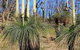 Aurora Cottages Bush Retreat - thumb 3
