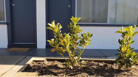 Australian Hotel Motel - Hervey Bay Accommodation 2