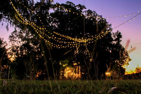 Banyan Tree - Hervey Bay Accommodation 0