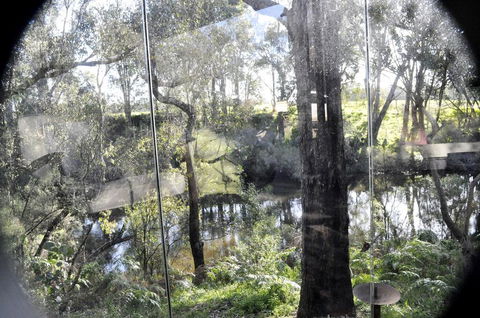 Barrabup Sanctuary BirdHide - Hervey Bay Accommodation 1
