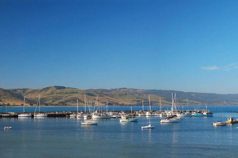 BAY VUE - Top Floor Apartment, Amazing Views! - Hervey Bay Accommodation 2