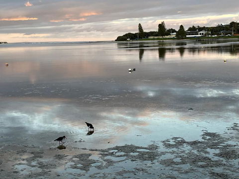 River Studio - Idyllic Location - Hervey Bay Accommodation 0