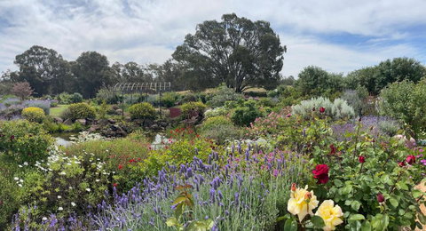 River Gardens Axedale Pet Friendly Farmstay B&B - Hervey Bay Accommodation 0