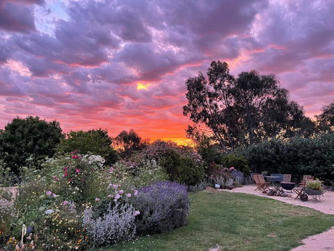 River Gardens Axedale Pet Friendly Farmstay B&B - Hervey Bay Accommodation 3