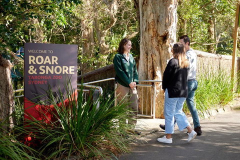 Roar And Snore - Hervey Bay Accommodation 1