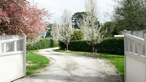 Robin Hill Manor - Tourism Hervey Bay 2