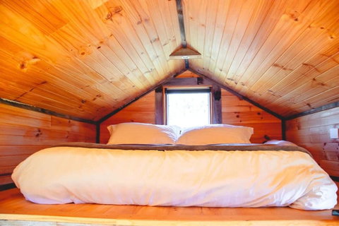 Saddle Country Escape By Tiny Away - Hervey Bay Accommodation 3