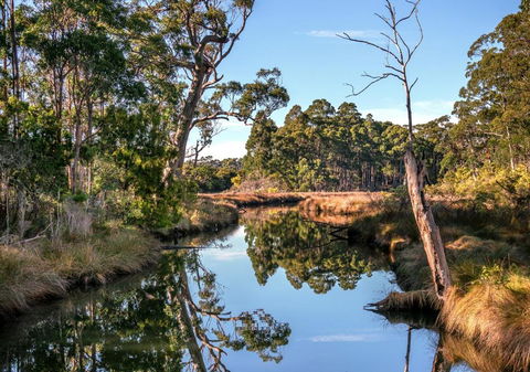Saintys Creek Cottage - Hervey Bay Accommodation 3