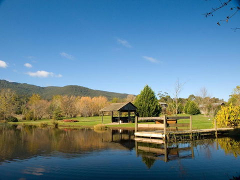 Sanctuary Park Cottages - Tourism Hervey Bay 0