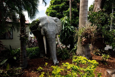 Sarina Palms Caravan And Cabins Village - Hervey Bay Accommodation 3