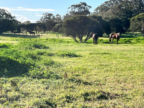 Secluded Rural Retreat In Southwest WA - Hervey Bay Accommodation 3