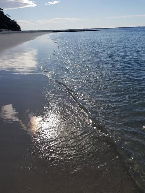 Beachside Husky - Waterfront - Hervey Bay Accommodation 3