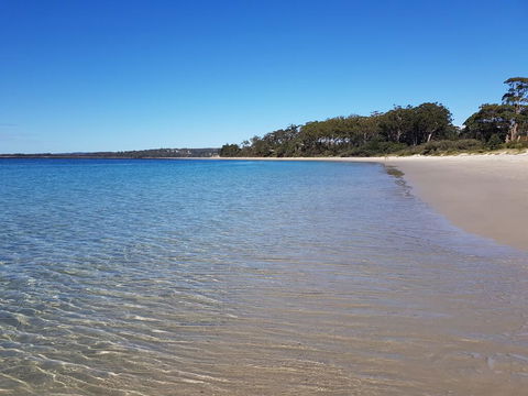 Beachside Husky - Waterfront - Hervey Bay Accommodation 1