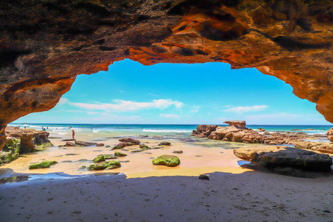 Beachside Oasis - Hervey Bay Accommodation 1