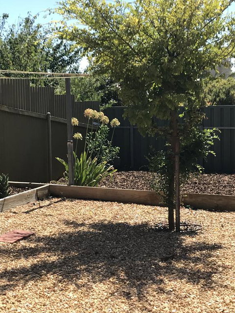 Beatty Cottage - Hervey Bay Accommodation 2