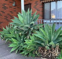 Beautiful Bedroom in Bentleigh East - Tourism Hervey Bay