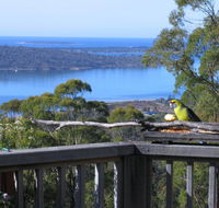 Bed in the Treetops BB - Tourism Hervey Bay