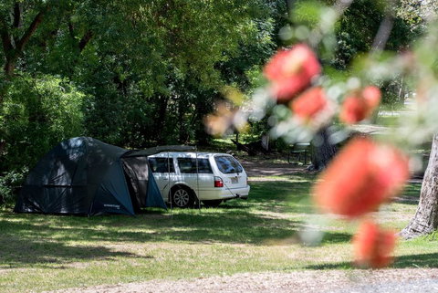 Belair National Park Holiday Park - Hervey Bay Accommodation 0