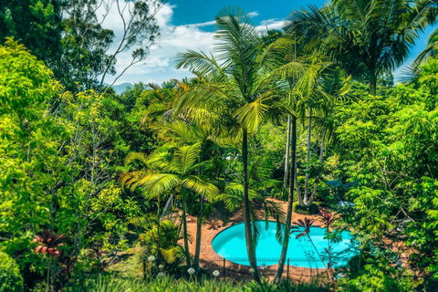 Bella Vista Bellingen - Hervey Bay Accommodation 1
