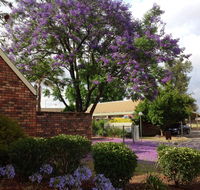 Belvoir Village Motel  Apartments Wodonga - Hervey Bay Accommodation