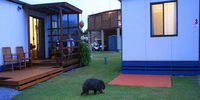 Book Kelso Accommodation Vacations Hervey Bay Accommodation Hervey Bay Accommodation