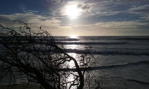 BIG4 Nambucca Beach Holiday Park - Tourism Hervey Bay 3