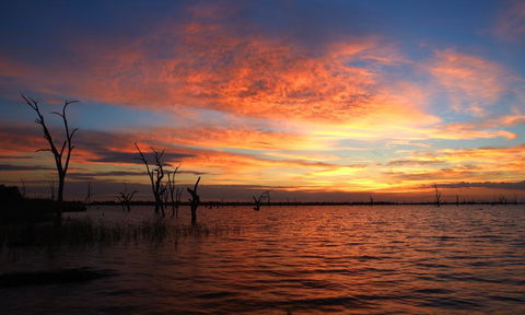 BIG4 NRMA Yarrawonga Mulwala Holiday Park - Hervey Bay Accommodation 0
