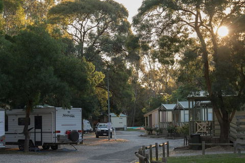 BIG4 Seymour Holiday Park - Hervey Bay Accommodation 0