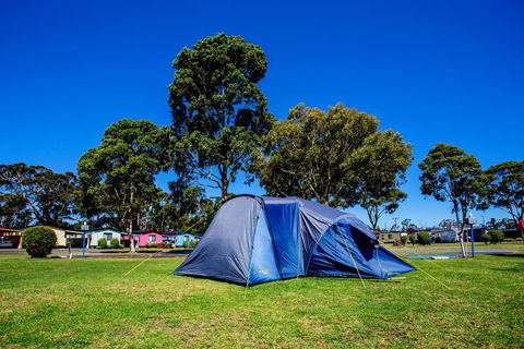 BIG4 Traralgon Park Lane Holiday Park - Hervey Bay Accommodation 2