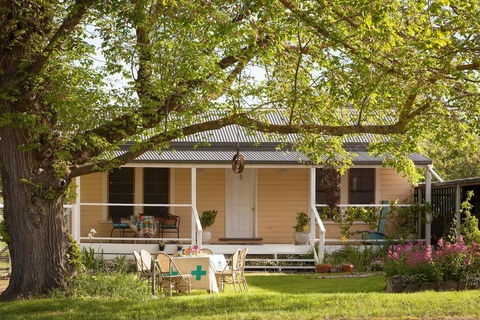 Bird House - Hervey Bay Accommodation 0