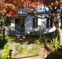 Bird N Branch - Tourism Hervey Bay