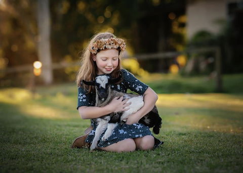 Blackwattle Farm - Tourism Hervey Bay 1