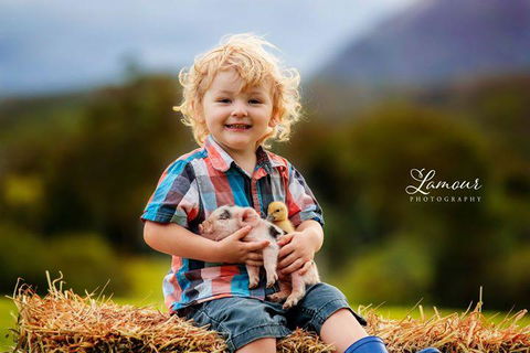 Blackwattle Farm - Tourism Hervey Bay 0