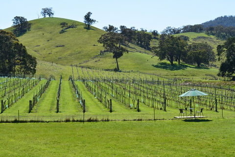 Blue House At Mountainside Wines - Hervey Bay Accommodation 0
