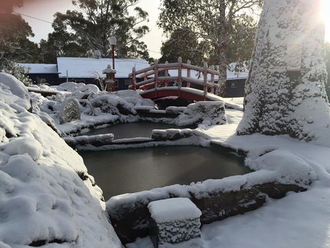 Blue Lake Lodge - Tourism Hervey Bay 3