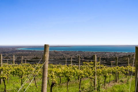 Blue Range Estate Villas - Tourism Hervey Bay 3