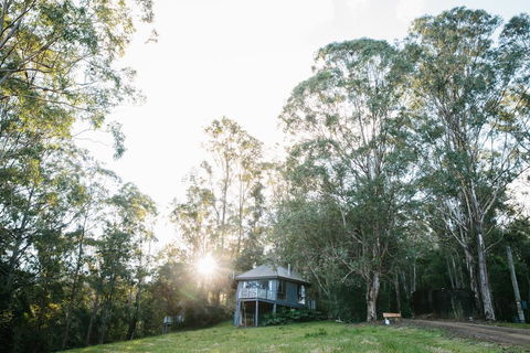 Bluegums Cabins - Tourism Hervey Bay 0