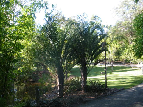 BoBRENE On Tamborine Nude Retreat - Quaint Cottage - Hervey Bay Accommodation 2