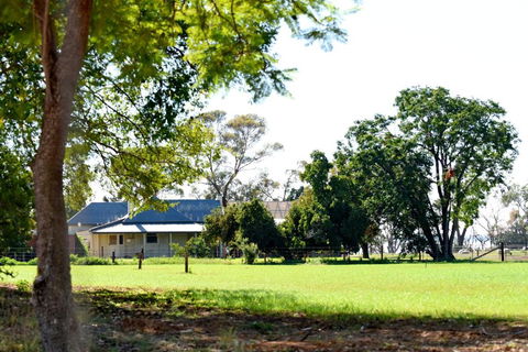The Jetty Hut - Lake Frontage Barmera Riverland - Tourism Hervey Bay 2