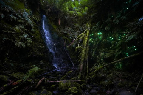 The Source, Otways - Hervey Bay Accommodation 1