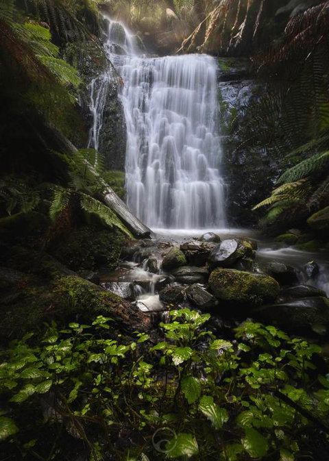 The Source, Otways - Hervey Bay Accommodation 2