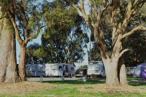Woodmans Hill Motel - Hervey Bay Accommodation 2