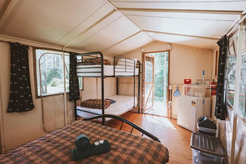 BIG4 Breeze Holiday Parks - Carnarvon Gorge - Hervey Bay Accommodation 1