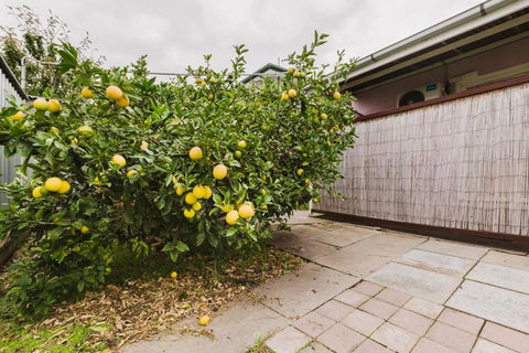 Yarraville Garden Large Home With Yard And Parking - Hervey Bay Accommodation 3