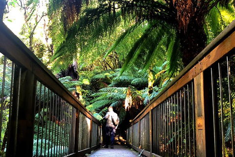 Small-Group Great Ocean Road And Twelve Apostles Full-Day Tour - Tourism Hervey Bay 1
